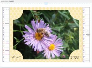Fotokalender mit Blumen