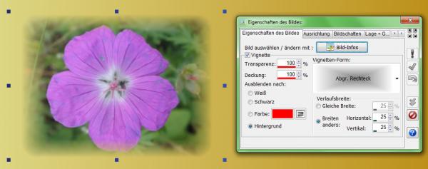 Heyer's Etiketten-Studio Pro - Bild